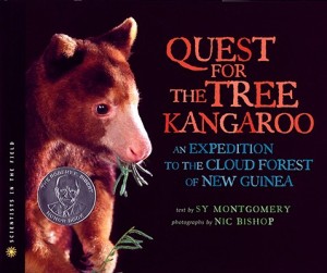 The-Quest-for-the-Tree-Kangaroo-9780547248929